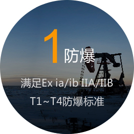 满足EX ia\ib IIAIIB T1~T4防爆标准