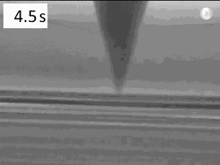 editor1527061365908357.gif 1.gif