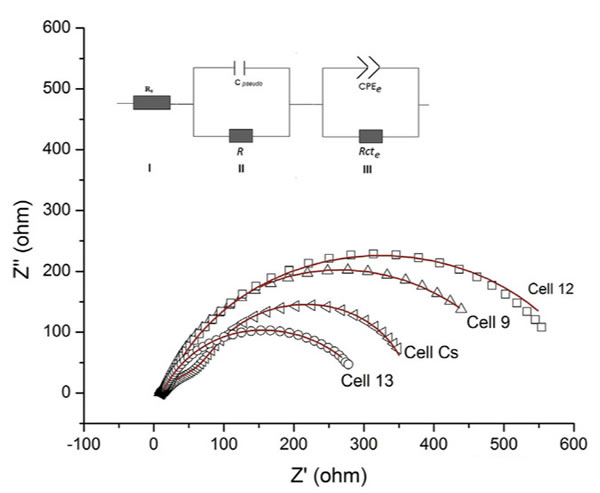 editor1527063417585824.jpg 1.jpg