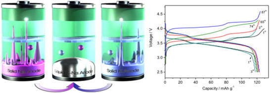 editor1532253442899110.jpg 1.jpg