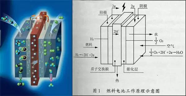 editor1532850665511638.jpg 1.jpg