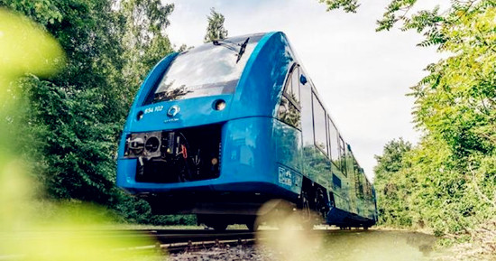 editor1537349465943546.jpg 901.jpg