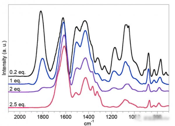 editor1561906544262733.jpg 011.jpg